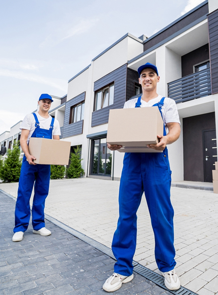 تغليف الأثاث