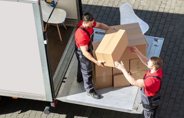 فريق عمل محترف